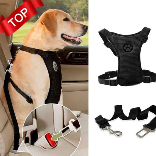 Safety Belt for dogs